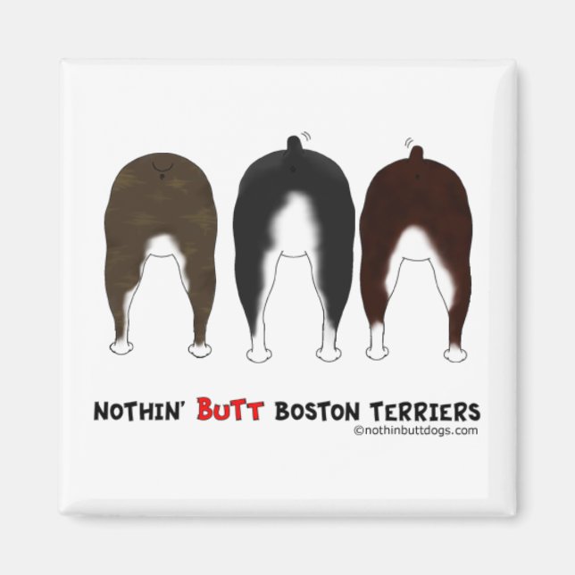 Nothin' Hintern Boston Terriers Magnet (Vorne)