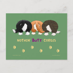 Nothin' Hintern Corgis PostCards Postkarte