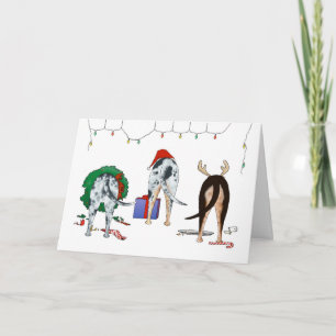 Nothin' Hintern Ein Katahoula-Weihnachtsfest Feiertagskarte