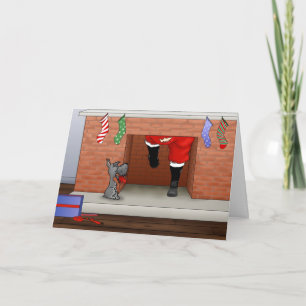 Nothin' Hintern Ein Schnauzer Weihnachten