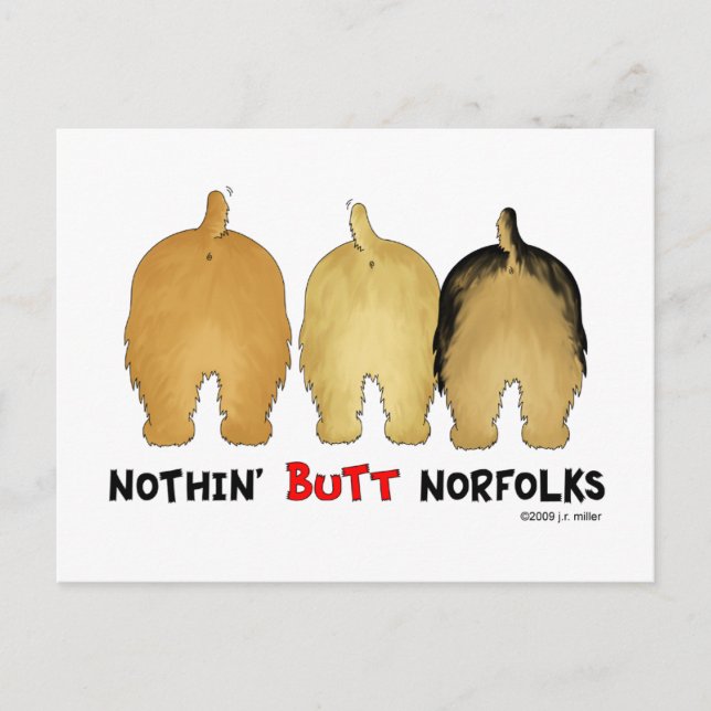 Nothin' Hintern Norfolks Postkarte (Vorderseite)