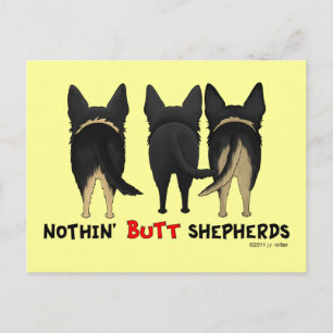 Nothin' Hintern Shepherds Postkarte