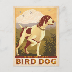 Nothing Gets Past My Bird Dog Postkarte