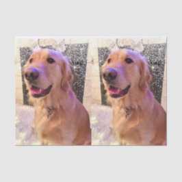 Notieren Sie das goldene Retriever-Gewebepapier Seidenpapier