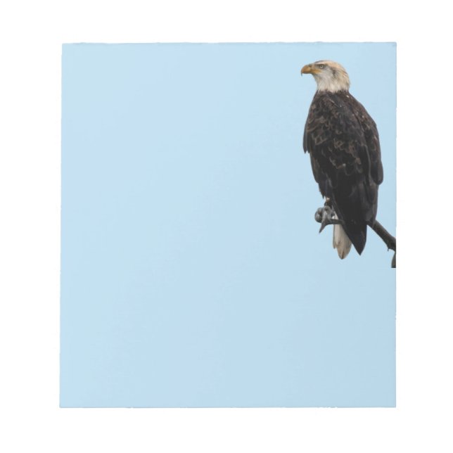 Notizblock Eagle (Vorderseite)