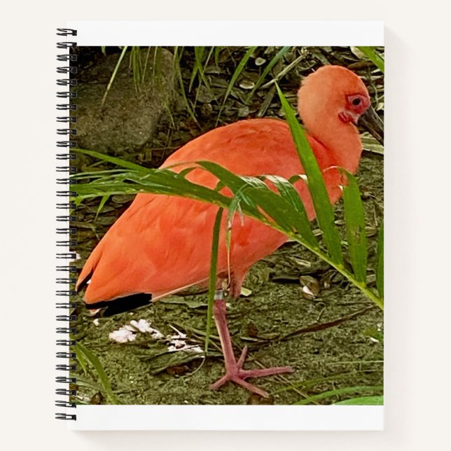 Notizbuch (Vorderseite)