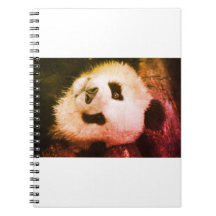 Notizbuch Bär Panda Lebensstil Trending-Produkt Notizblock
