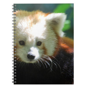 Notizbuch - besonders angefertigt notizblock