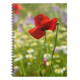 Notizbuch - Das rote Mohn-Foto Notizblock