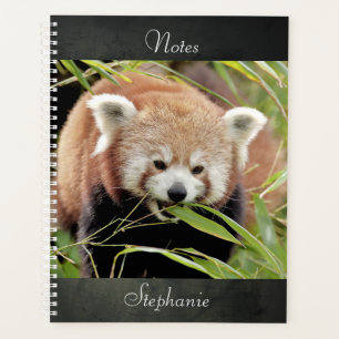 Notizbuch Foto rot Panda , Tiere 02. Notizbuch Planer