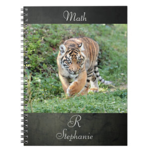 Notizbuch Foto Tiger , Tiere. Notizblock