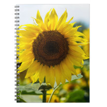 Notizbuch - Isolierte Sonnenblume