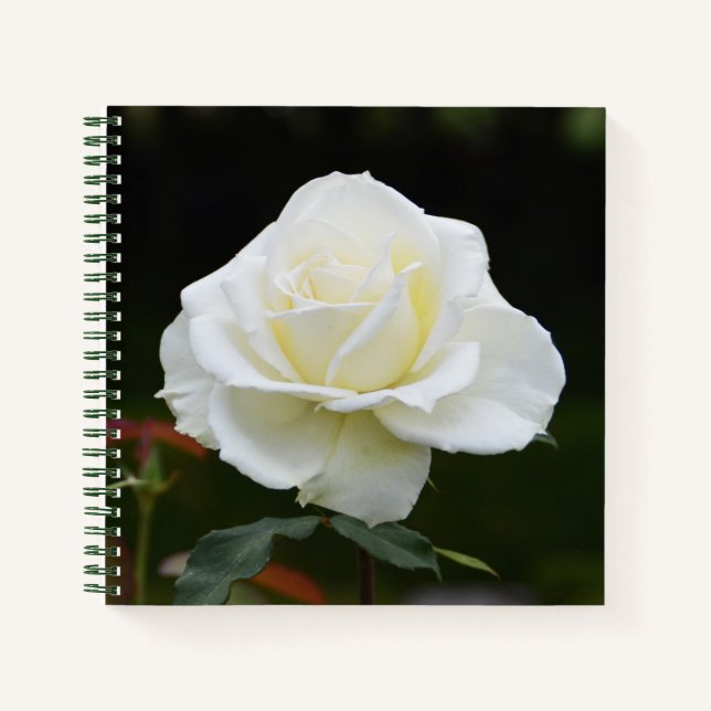 Notizbuch mit weißer Rosa Blume (Vorderseite)