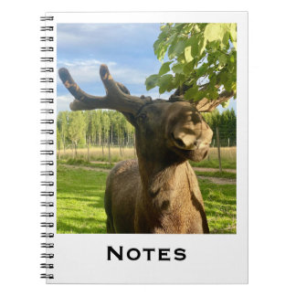 Notizbuch Notizblock