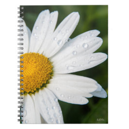 Notizbuch Photomargerite Notizblock