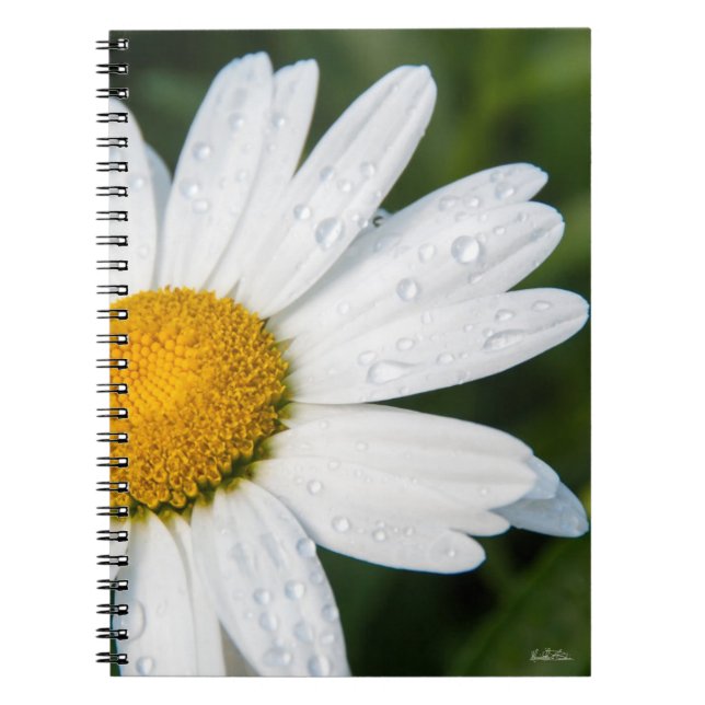 Notizbuch Photomargerite Notizblock (Vorderseite)