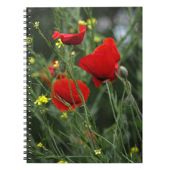 Notizbuch - Rote Mohnblumen Notizblock (Vorderseite)