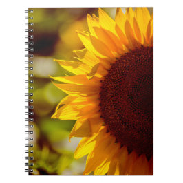 Notizbuch - Sonnenblume auf dem Feld Fotografie Notizblock