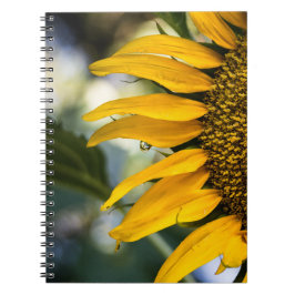 Notizbuch - Sonnenblume mit Regentropfen Notizblock