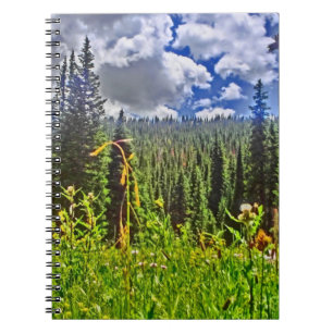 Notizbuch zur Wiesenlandschaft Colorado Notizblock