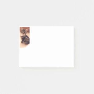 Notizen Cat Kitten Kitty