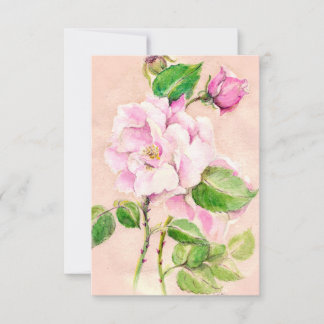 Notizen für die Rosenwüste
