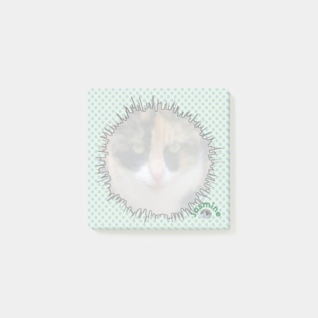 Notizen zum benutzerdefinierten Foto im Comic (Vorderseite)