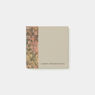 Notizen zum "Custom Brown Marble Office"