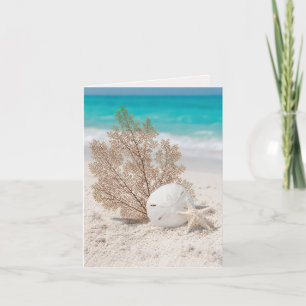 Notizkarte Seefächer mit Sanddollar und Seestern Karte