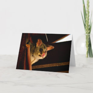 Notizzettel für den Possum-Ring Karte
