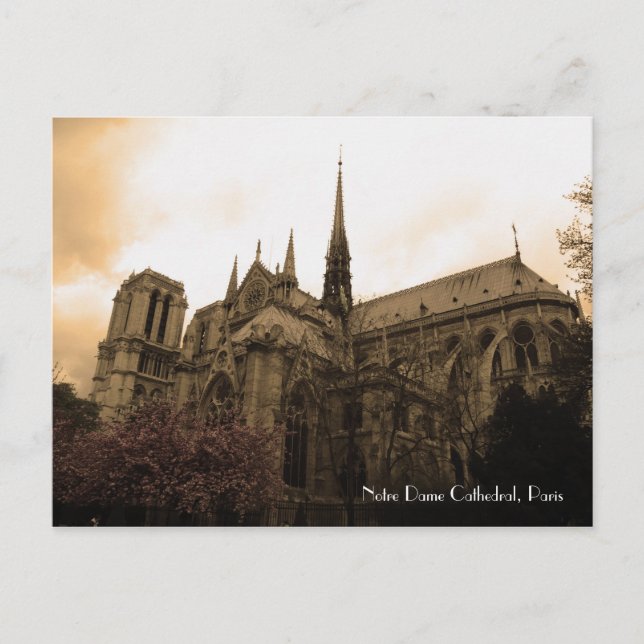 Notre Dame Cathedral Postkarte (Vorderseite)