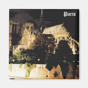 Notre Dame nachts.  Paris, Frankreich Magnet
