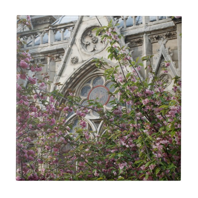 Notre Dame spring Fliese (Vorderseite)