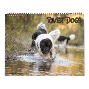 Notta Bär Newfoundlands Fluss-Hunde Kalender