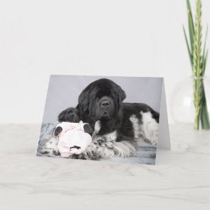 Notta Bärn-Willkommens-Karte Karte