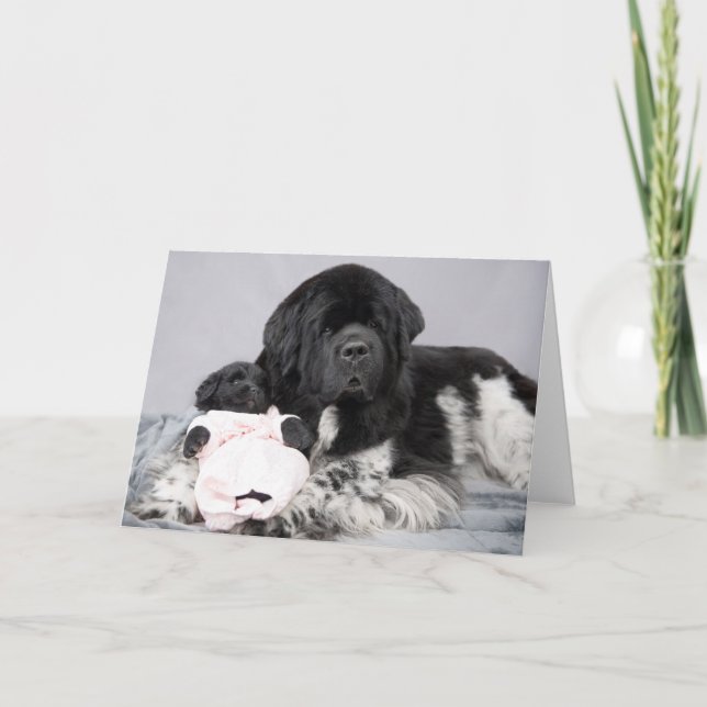 Notta Bärn-Willkommens-Karte Karte (Vorderseite)