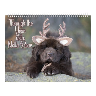 Notta Bear Durch Das Jahr Kalender