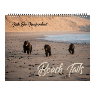 Notta Bear Neufundländer Oregon Strandkalender Kalender