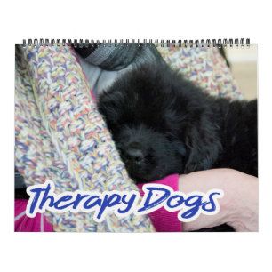 Notta Bear Neufundländer-Therapiehunde Kalender