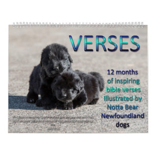 Notta Bear Neufundländer Verse Kalender