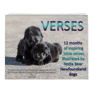 Notta Bear Neufundländer Verse Kalender