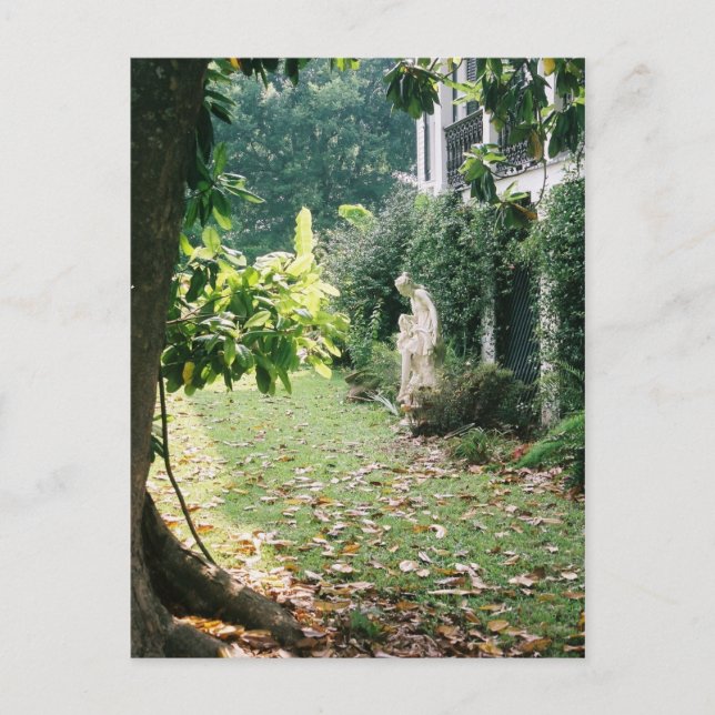 Nottoway Plantation Postcard Postkarte (Vorderseite)