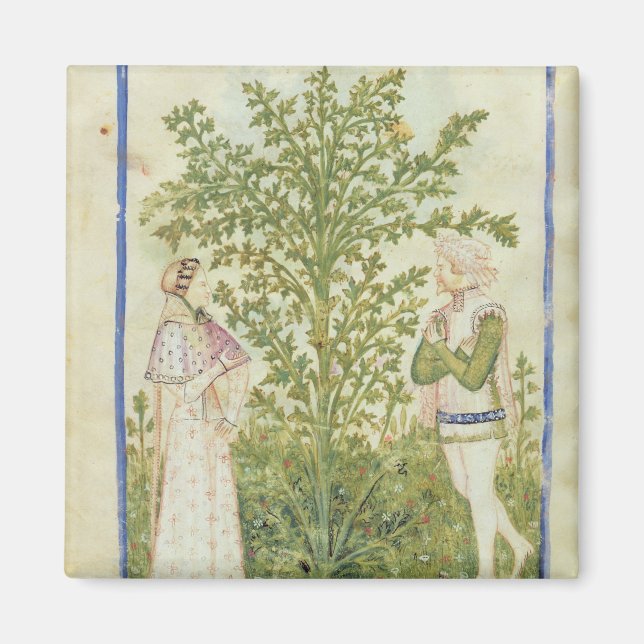 Nouv Acq Lat Celery von 'Tacuinum Sanitatis' Magnet (Vorne)