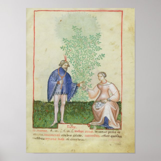 Nouv Acq LatRoses von "Tacuinum Sanitatis" Poster (Vorne)