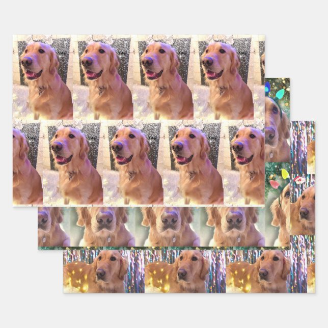 Nova, das goldene Retriever Weihnachtsbuch Geschenkpapier Set (Set)