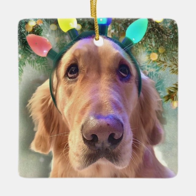 Nova Die goldene Retriever - Weihnachtsbeleuchtung Keramikornament (Vorderseite)