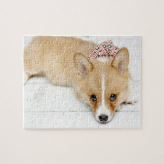 Nova-Puzzlespiel Puzzle