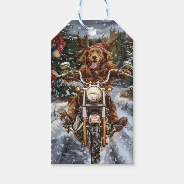 Nova Scotia Dog Riding Motorrad Weihnachten Geschenkanhänger (Vorderseite)