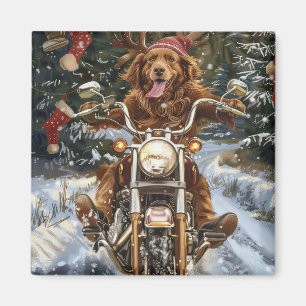 Nova Scotia Dog Riding Motorrad Weihnachten Magnet