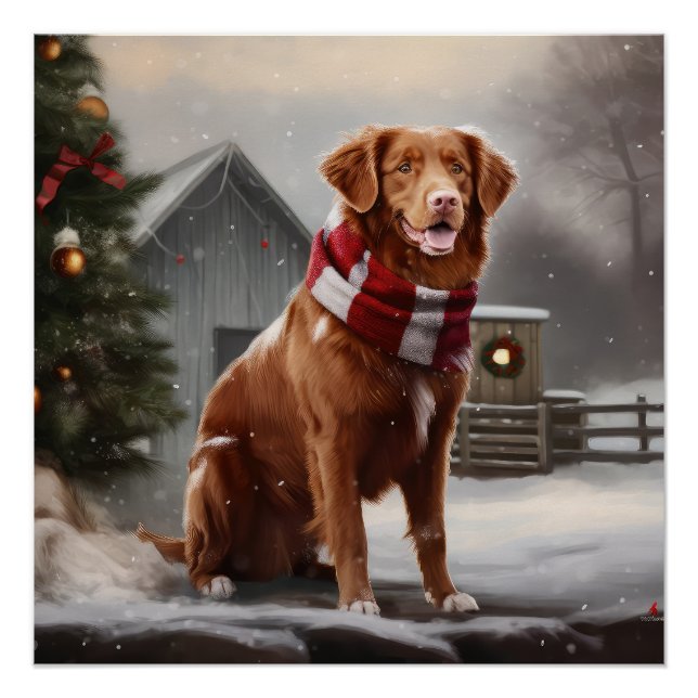 Nova Scotia Duck Toller Dog Schnee Weihnachten Poster (Vorderseite)